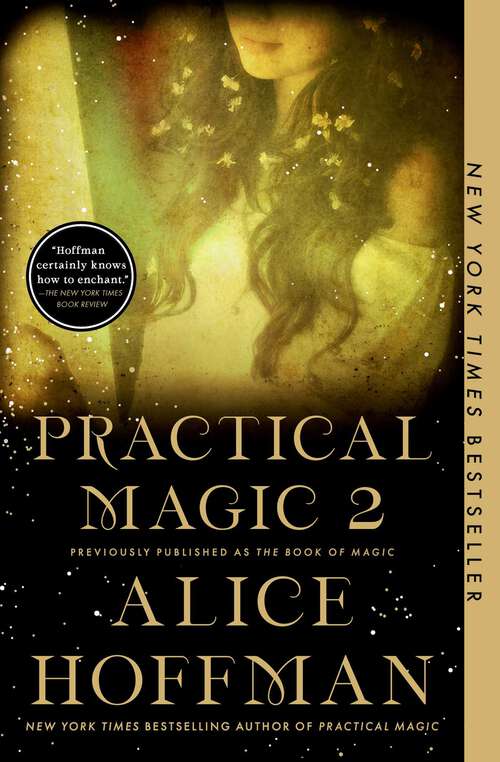 Book cover of The Book of Magic: A Novel (The Practical Magic Series #4)