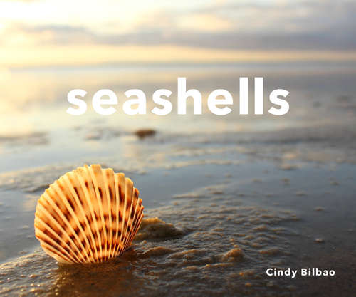 Book cover of Seashells