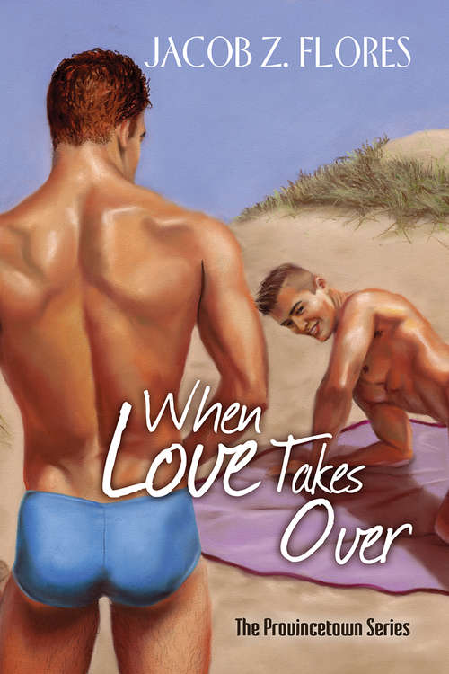 Book cover of When Love Takes Over (Provincetown)