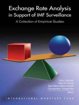 Book cover of Exchange Rate Analysis in Support of IMF Surveillance