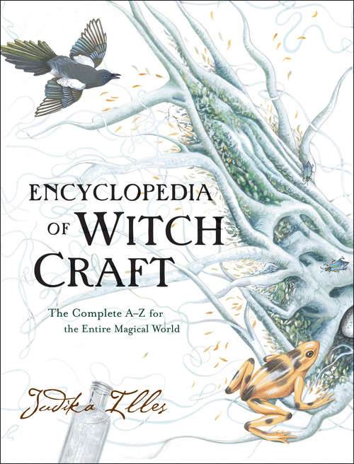 Book cover of Encyclopedia of Witchcraft