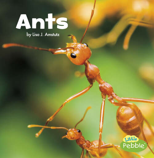 Book cover of Ants (Little Critters Ser.)