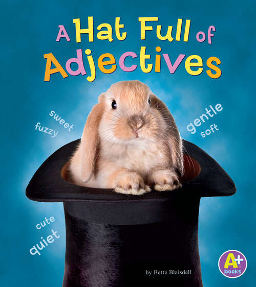 Book cover of A Hat Full of Adjectives (Words I Know Ser.)