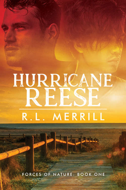 Book cover of Hurricane Reese
