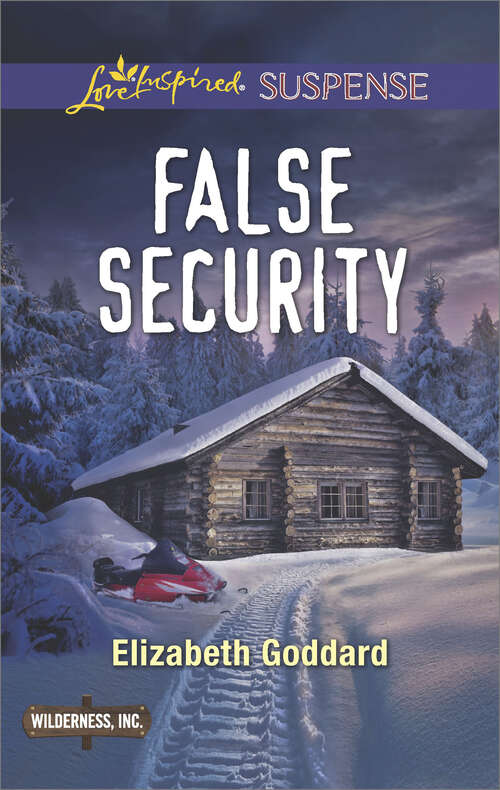 Book cover of False Security: Guardian False Security Plain Target (Wilderness, Inc.)