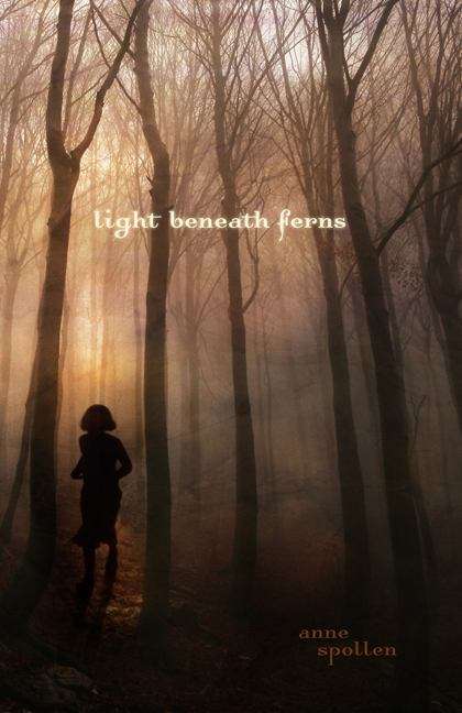 Book cover of Light Beneath Ferns