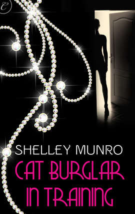 Book cover of Cat Burglar in Training