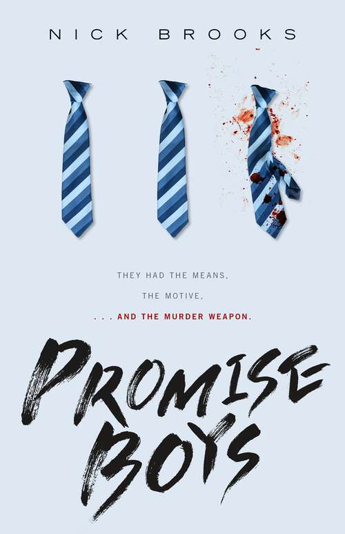 Book cover of Promise Boys