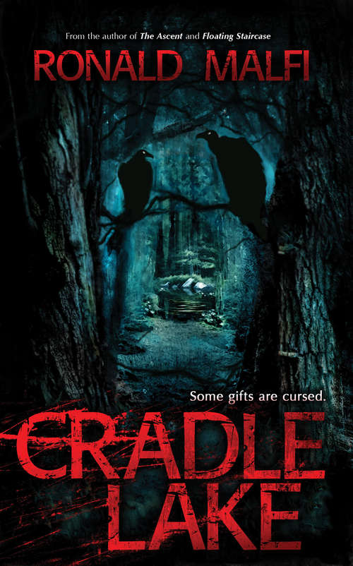 Book cover of Cradle Lake