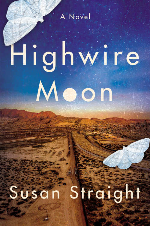 Book cover of Highwire Moon: A Novel