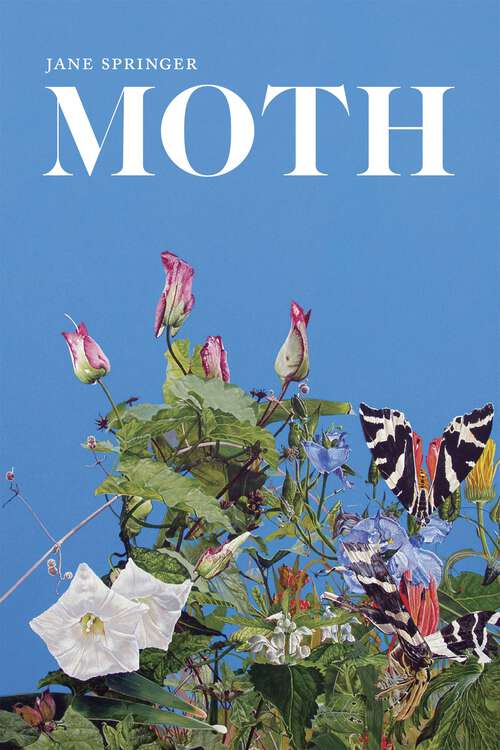 Book cover of Moth: Poems (Southern Messenger Poets)