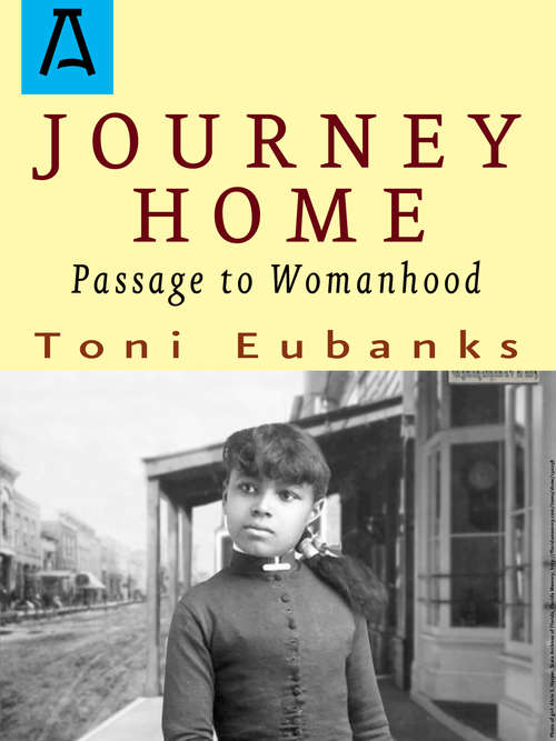 Book cover of Journey Home