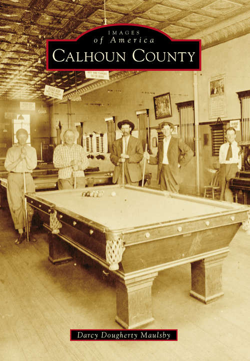 Book cover of Calhoun County