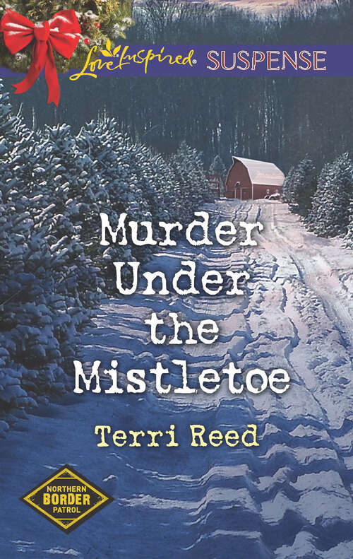 Book cover of Murder Under the Mistletoe