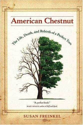 Book cover of American Chestnut: The Life, Death, and Rebirth of a Perfect Tree