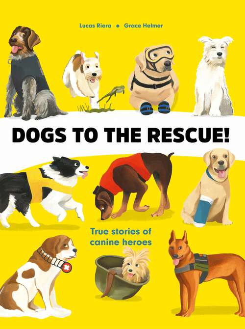 Book cover of Dogs to the Rescue
