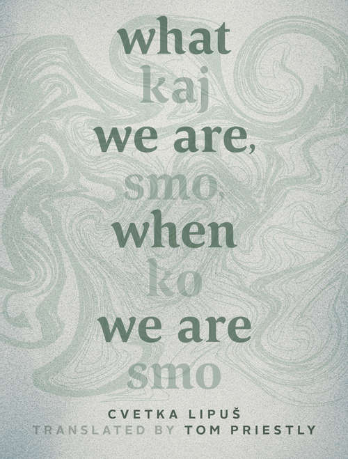 Book cover of What We Are When We Are: Kaj smo, ko sm (Mingling Voices)