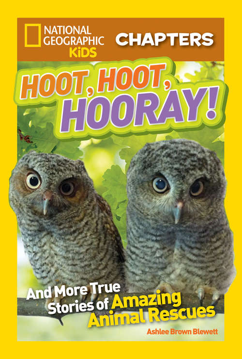 Book cover of Hoot, Hoot, Hooray! (National Geographic Kids Chapters)