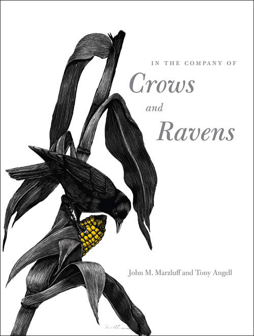 Book cover of In the Company of Crows and Ravens