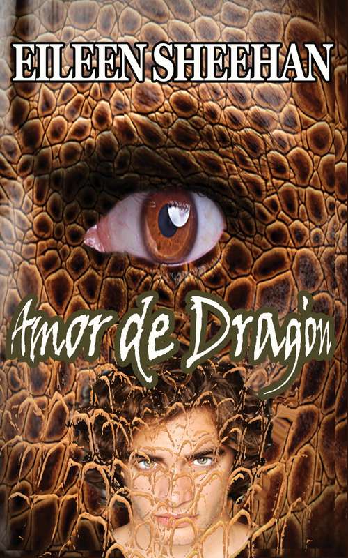 Book cover of Amor de Dragón