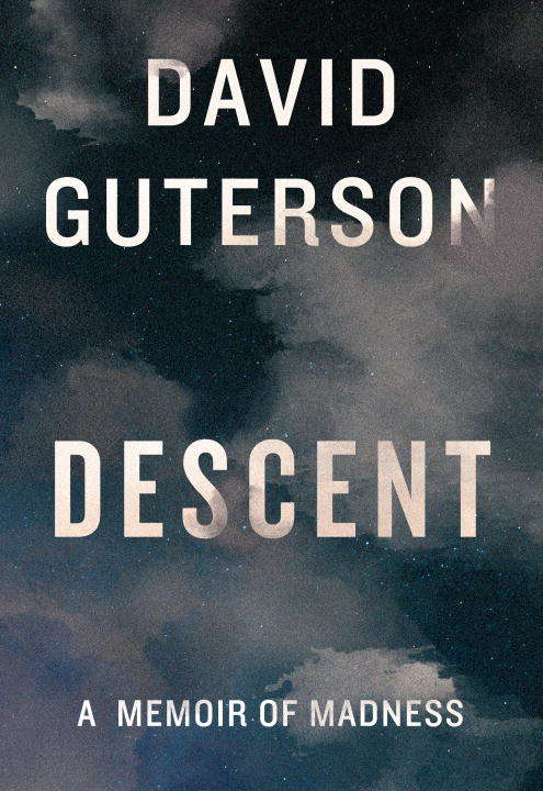 Book cover of Descent