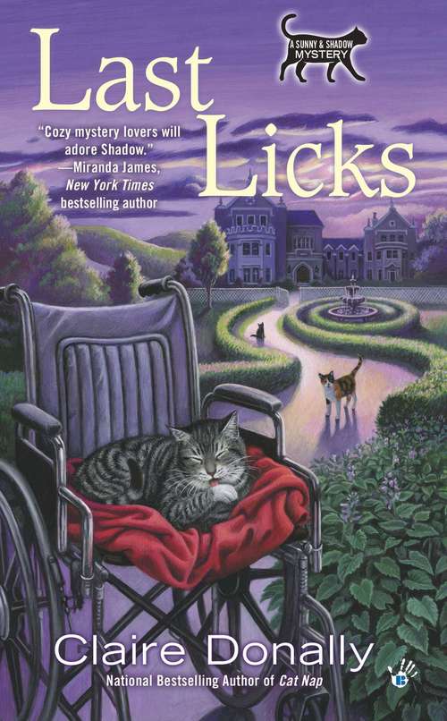 Book cover of Last Licks (A Sunny & Shadow Mystery #3)