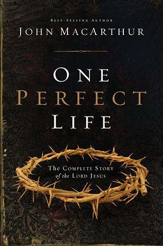 Book cover of One Perfect Life