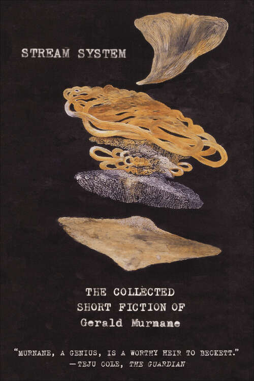 Book cover of Stream System: The Collected Short Fiction of Gerald Murnane