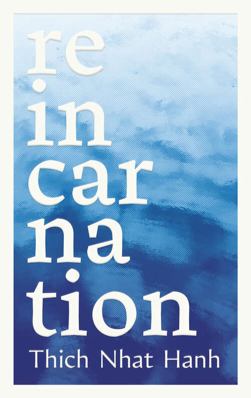 Book cover of Reincarnation (Zen Doors)