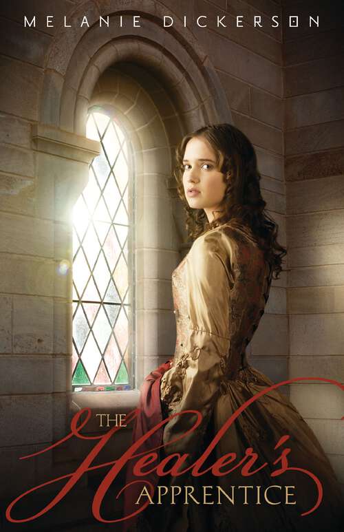 Book cover of The Healer's Apprentice: The Healer's Apprentice, The Merchant's Daughter, The Fairest Beauty, The Captive Maiden, The Princess Spy (Fairy Tale Romance Series)