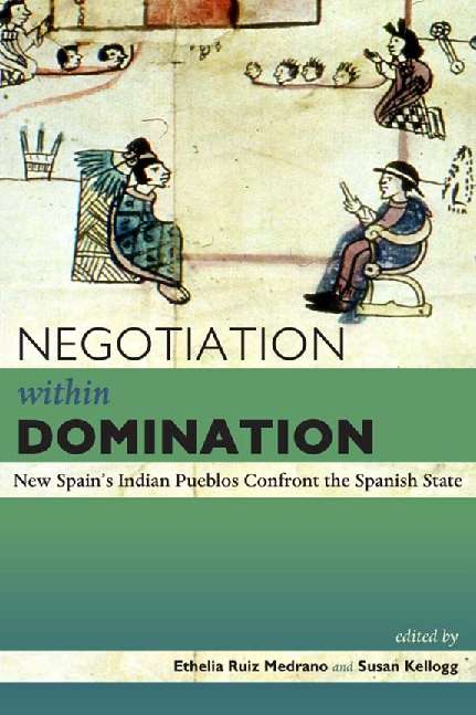 Book cover of Negotiation Within Domination