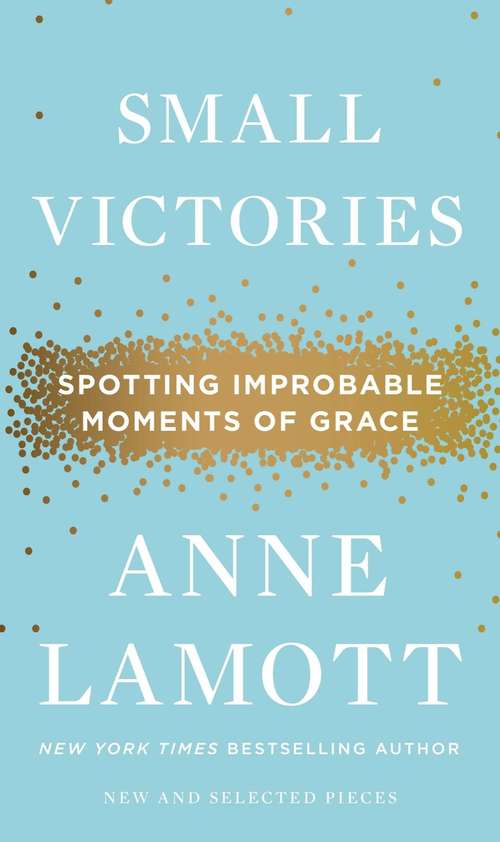 Book cover of Small Victories