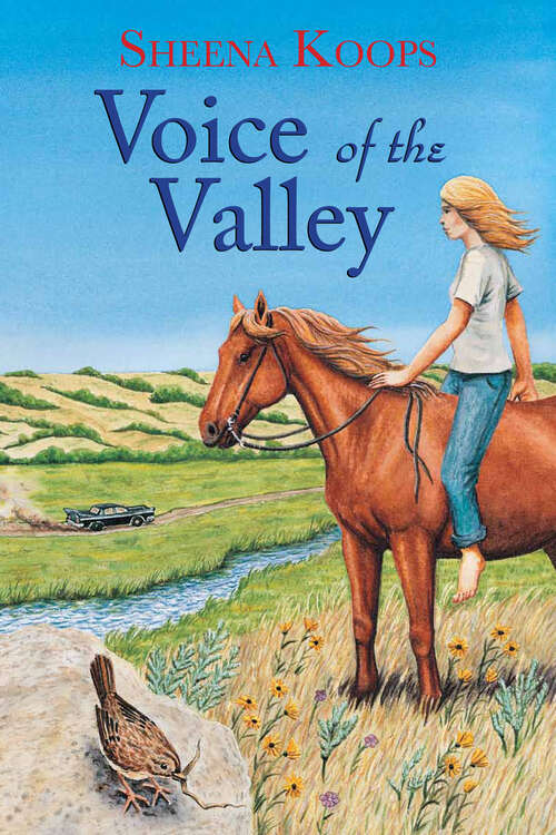 Book cover of Voice of the Valley