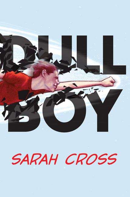 Book cover of Dull Boy