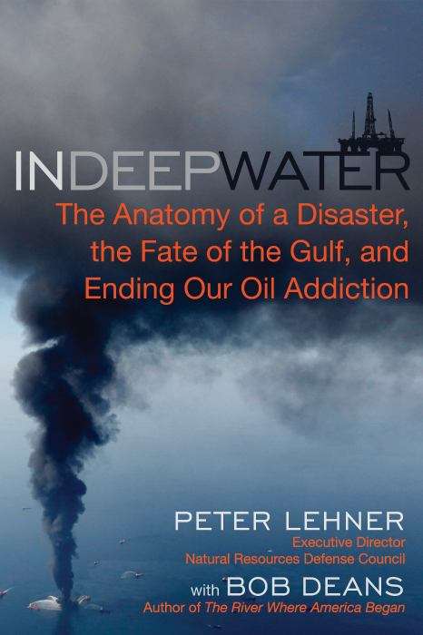 Book cover of In Deep Water: The Anatomy Of A Disaster, The Fate Of The Gulf, And Ending Our Oil Addiction