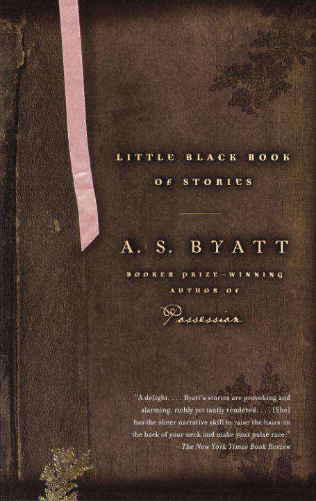 Book cover of Little Black Book of Stories