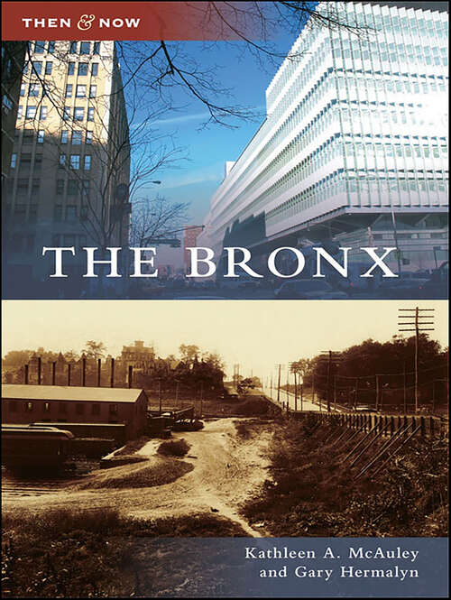 Book cover of The Bronx