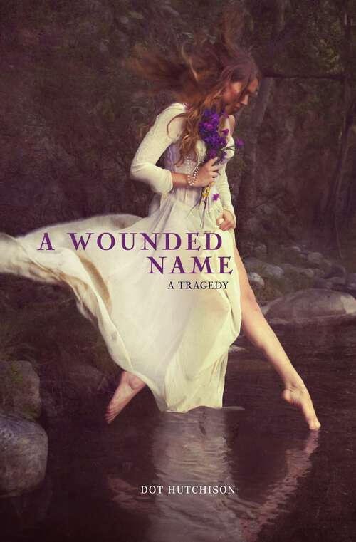 Book cover of A Wounded Name