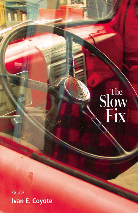 Book cover of The Slow Fix