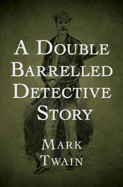 Book cover of A Double Barrelled Detective Story