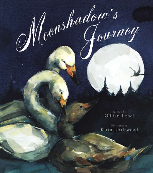 Book cover of Moonshadow's Journey