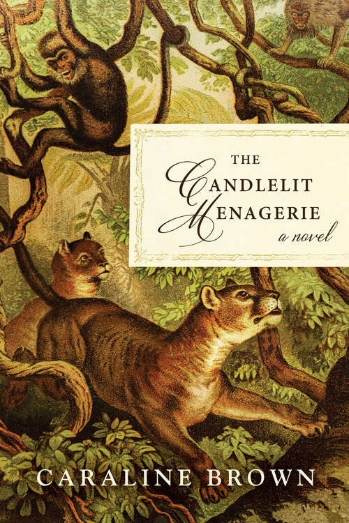 The Candlelit Menagerie: A Novel