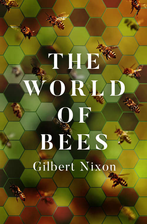 Book cover of The World of Bees (Digital Original)