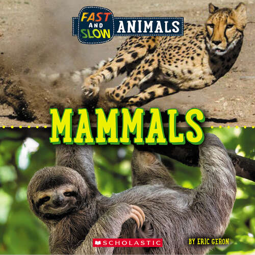 Book cover of Fast and Slow: Mammals (Wild World)