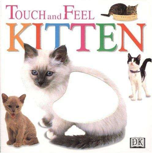 Book cover of Touch and Feel Kitten