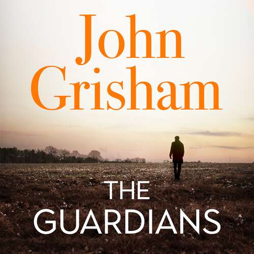 Book cover of The Guardians: The Sunday Times Bestseller