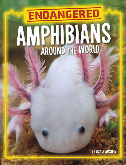 Book cover of Endangered Amphibians around the World (Endangered Animals Around The World Ser.)