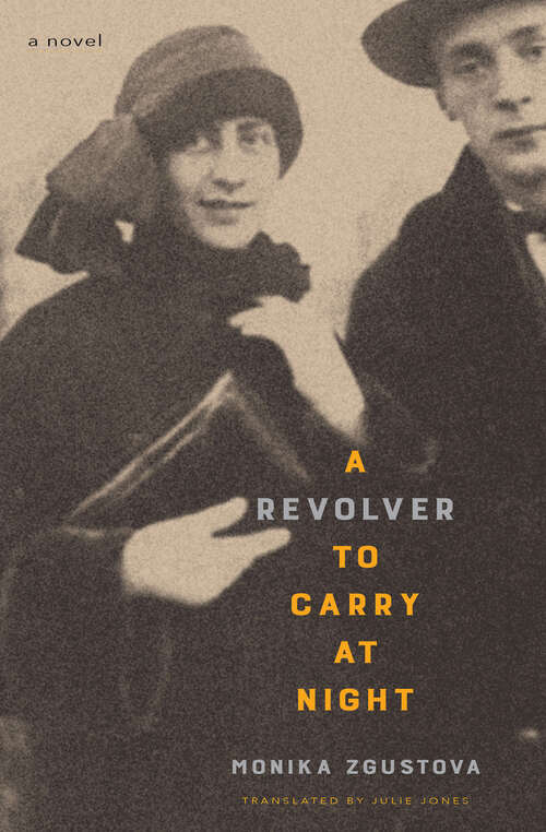 Book cover of A Revolver to Carry at Night: A Novel