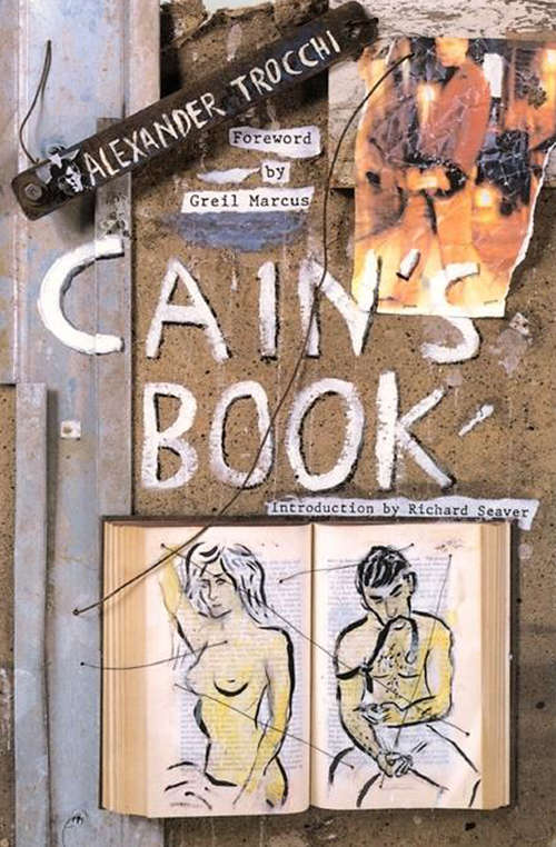 Book cover of Cain's Book (2)