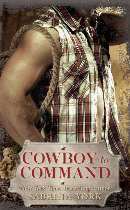 Cowboy to Command (Stripped Down #2)